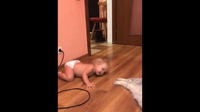 Кот плохому не научит смотреть онлайн