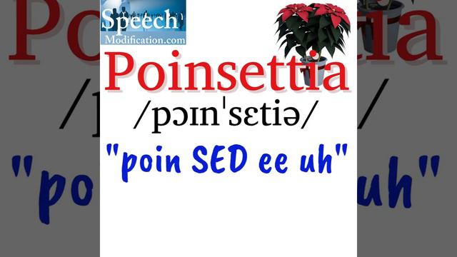 How to Pronounce Cuetlaxochitl (Poinsettia) смотреть онлайн