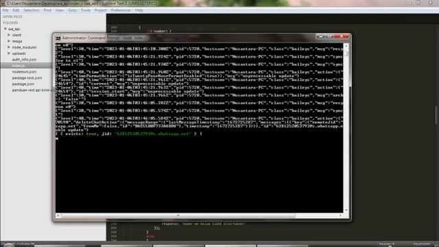 Membuat Whatsapp Rest Api Sederhana dengan NodeJS dan Baileys смотреть онлайн