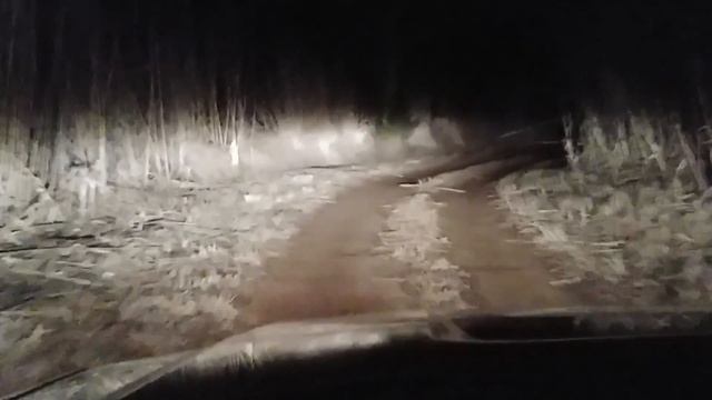 Bigfoot Search Part 1 of 3.../Driving Down A Creepy Road At Night On The Other Side Of The Lake... смотреть онлайн