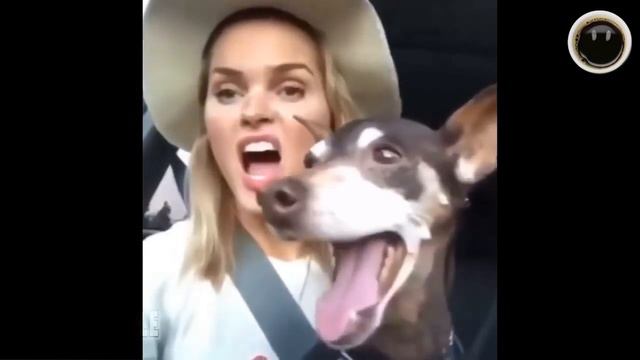 Лучшие Видео || Virus Smile #46 смотреть онлайн