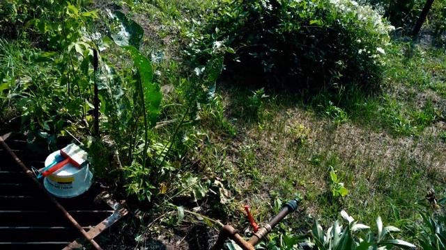 ДАЧНАЯ АВАНТЮРА/ПЕРВЫЕ УСПЕХИ НА УЧАСТКЕ\ЗАБРОШЕННАЯ ДАЧА/ВОССТАНОВЛЕНИЕ УБИТОГО УЧАСТКА смотреть онлайн