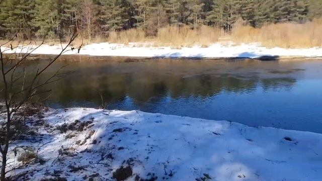 Выводы за год пользования дачей. А нужна ли нам дача? Дача в лесу у речки. смотреть онлайн