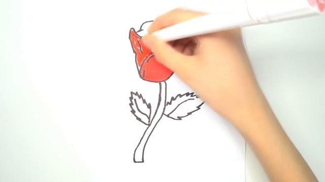 Как нарисовать розу / Раскраска / Рисунок для детей смотреть онлайн