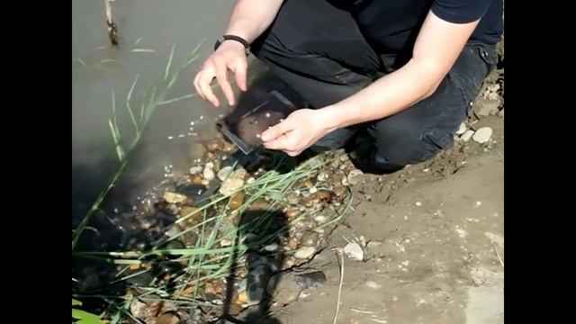 Мыло туриста! Чем отмыть котелок на природе? смотреть онлайн