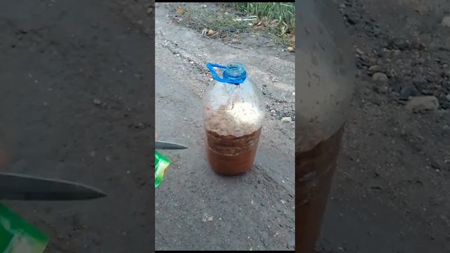 ? и опыт сын , ошибок трудных....и гений порадоксов вдруг смотреть онлайн