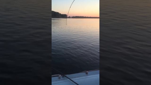 #рыбалка#астрахань#волга#база#енотаевка#россия#отпуск#отдых#2022#лето#89608587115# смотреть онлайн