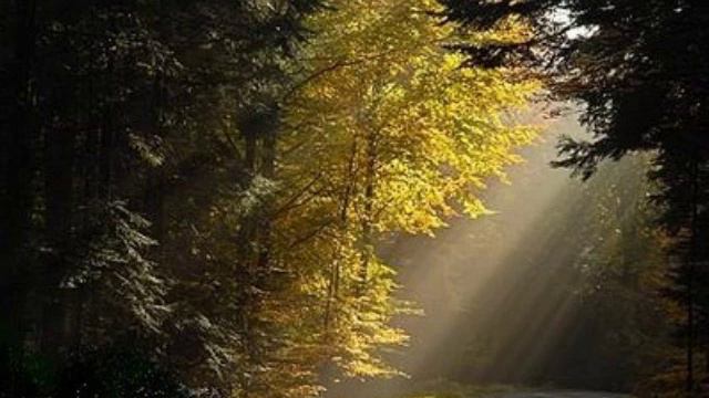 John Williams - Flute Concerto (complete) - Lloyd