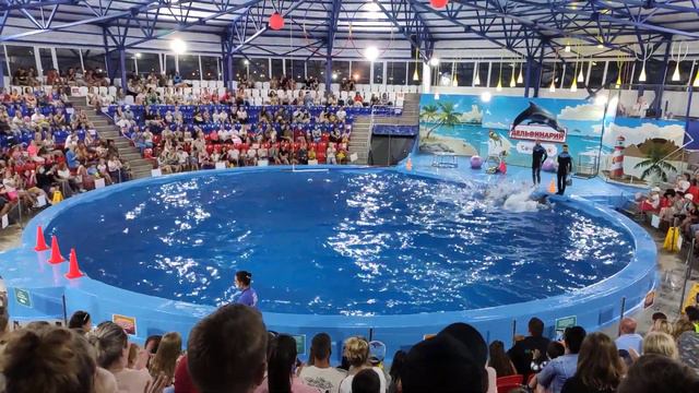 Адлер, Сочи Парк, Дельфинарий 🐬 смотреть онлайн