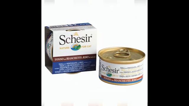 самый лучший корм для кошек