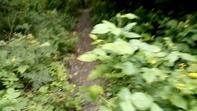 КАК ВЕСЕЛО ПРОВЕСТИ ДЕНЬ ?ТУТОРИАЛ? смотреть онлайн