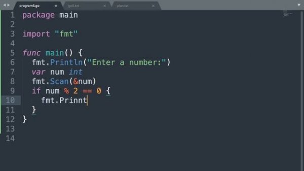 Четность и деление по модулю в Go