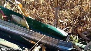 Самодельный комбайн для уборки кукурузы.\Homemade Corn Harvester