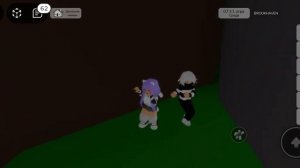 кошка лана и йоши друзя