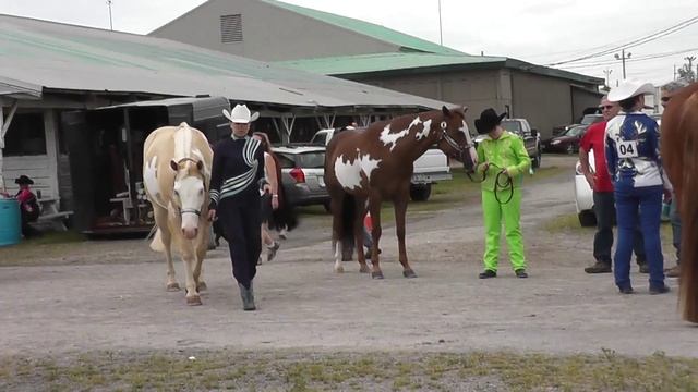 Pinto Horse Show\Шоу пегих лошадей