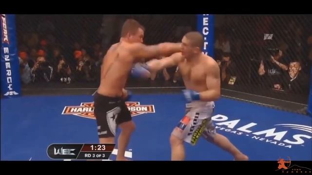 ARMENIAN MMA FIGHTERS смотреть онлайн