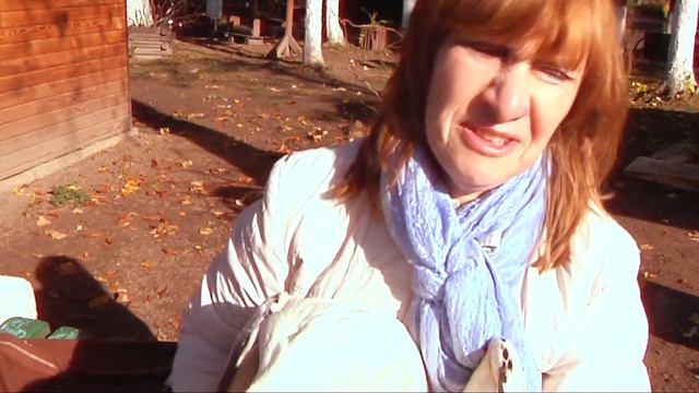 У Луцькому зоопарку виходжують травмованих лелек смотреть онлайн