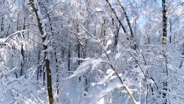 Красивая музыка Сергей Грищук! Потрясающая и Проникновенная музыка до глубины души! Послушайте!