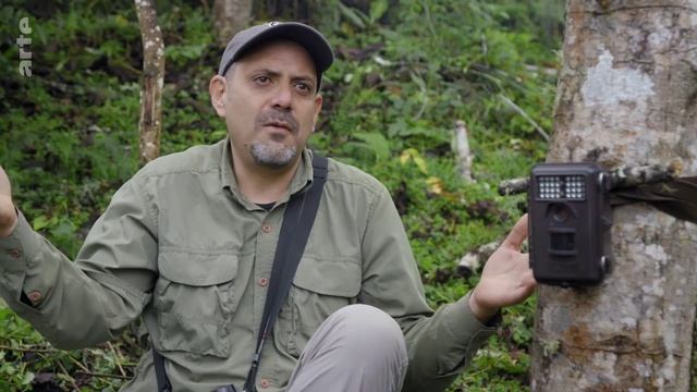 Paradis naturels retrouvés : Equateur, la forêt de nuages (S1:E2) смотреть онлайн