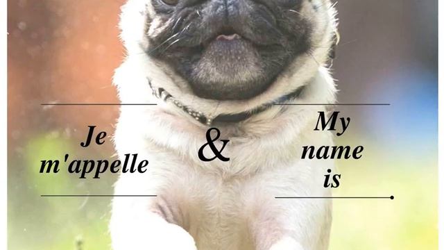 ENGLISH&FRENCH-Французский-Français-ЛЕГКО смотреть онлайн