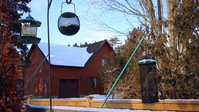 3 Module Challenge: Ambient смотреть онлайн