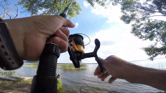 Ловля крупного ЛЕЩА. Рыбалка на ФИДЕР. Браславские озера. Озеро Укля. смотреть онлайн