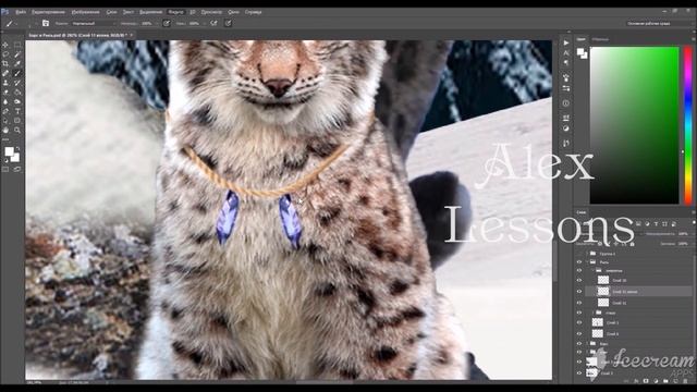 Фотошоп ДРУЖБА БАРСА И РЫСИ Герои моей книги/Watch Me Edit/Speed paint смотреть онлайн
