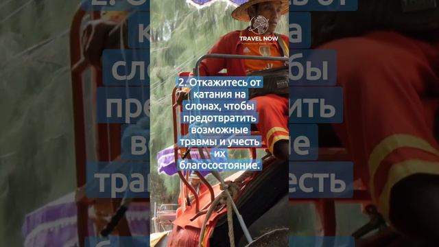4 запрета для туристов в Тайланде смотреть онлайн