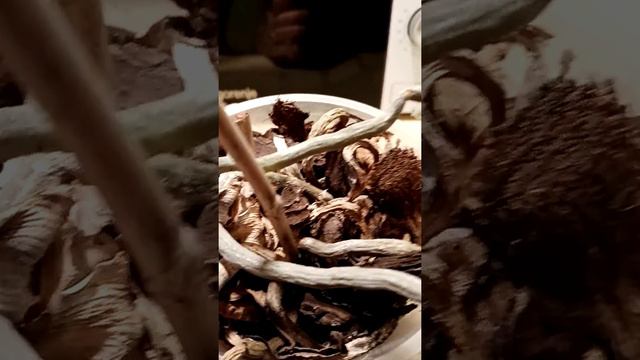 Орхидея с улицы. смотреть онлайн