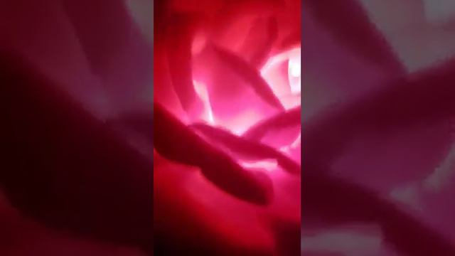 Большие цветы из изолона. смотреть онлайн