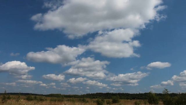 Поляризация неба / Sky polarization смотреть онлайн