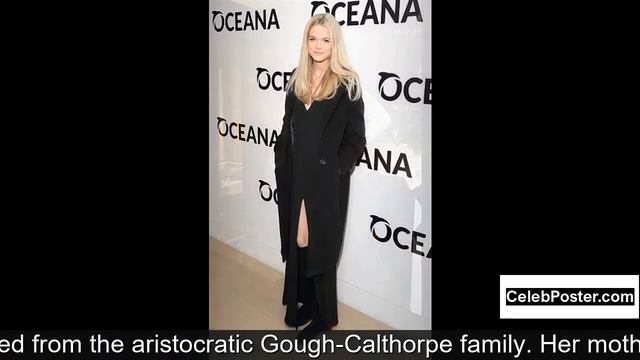 Gabriella Wilde Biography