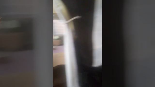 Выход всегда есть, когда хочется поесть. смотреть онлайн