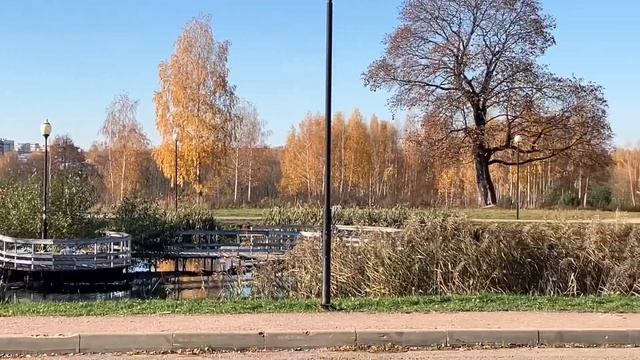 Усадьба Демьяново. Путешествие в прошлое русской интеллигенции XlX-XX веков. Подмосковье. Клин смотреть онлайн