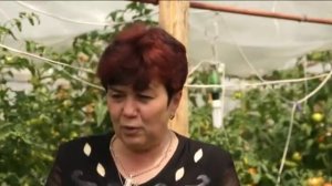 Байкал ЭМ 1 удобрение