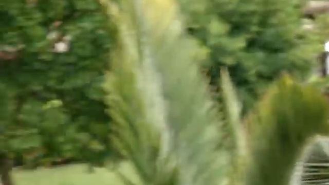 Sony DSC-H3 Test 2 - cloudy смотреть онлайн