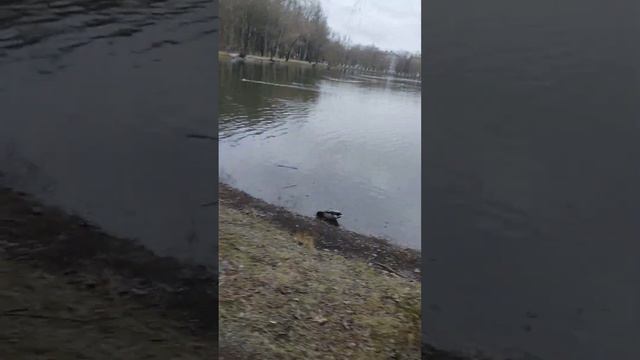 ярославль смотреть онлайн