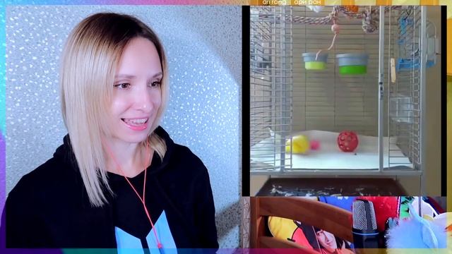 ПОПУГАЙ КРУЧЕ МЕНЯ! МИЛЫЕ СМЕШНЫЕ МОМЕНТЫ | ARI RANG смотреть онлайн