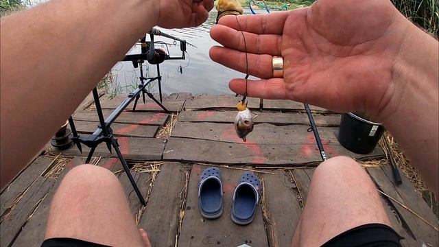 Рыбалка на карпа! Сутки на платнике!!! смотреть онлайн