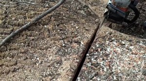 STIHL MS 361 БЕНЗОПИЛА В РАБОТЕ. РАСПИЛОВКА УПАВШЕГО ДЕРЕВА.SAWING A FALLEN TREE?