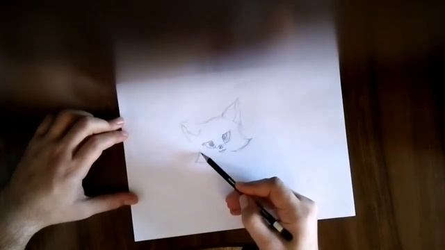 How to draw a cat pencil-Как нарисовать кошку карандашом смотреть онлайн