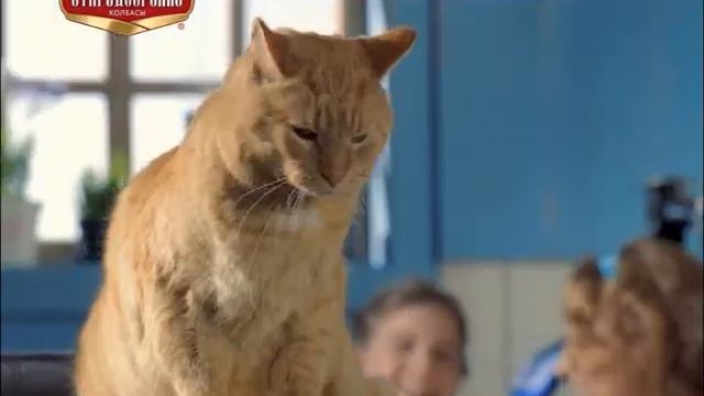 Сосиски «Вязанка» смотреть онлайн