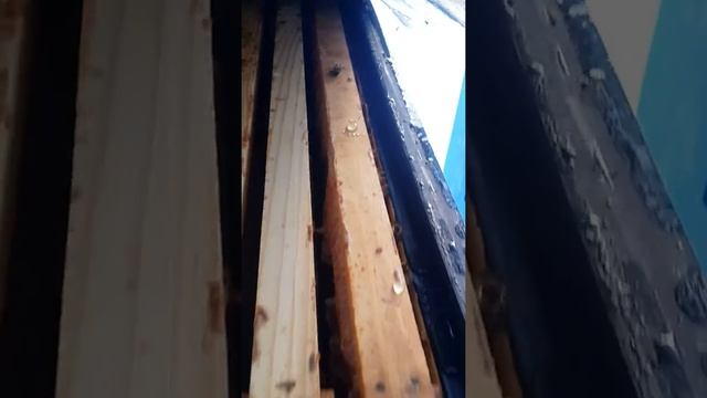 Зимовка без утепления и пленки в ульях ППС смотреть онлайн