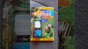 Дёготь или Корадо? Что победит в борьбе с колорадским жуком?