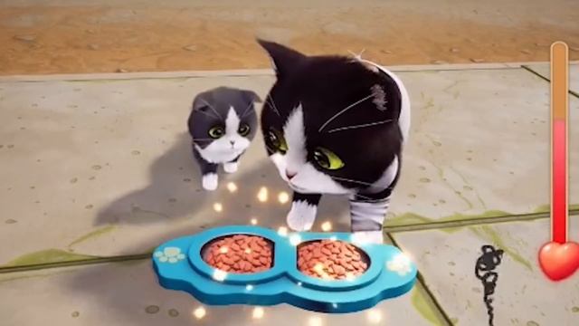 This cat game is super addictive！【Kitten Match】ep45 смотреть онлайн