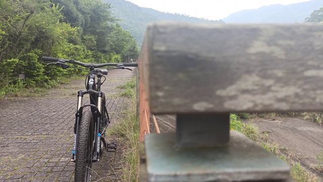 Cannondale Cujo 3 || Cannondle 2020