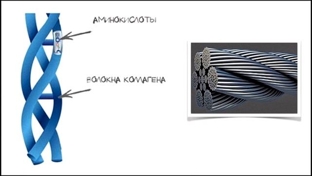 Люкс коллекция смотреть онлайн