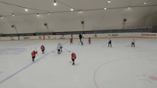 Матч-реванш 2 период