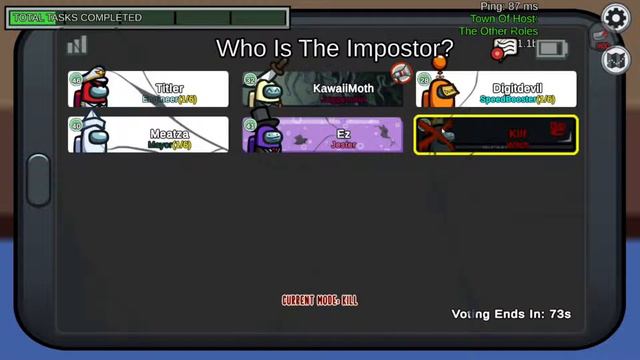Idiots Play Town of Host: (The Other Roles) Among Us Mod and Its Pure Chaos! смотреть онлайн