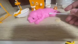 влог, вечер с сквиш собачкой! 💞